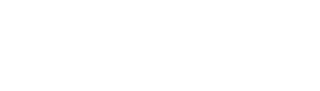 South African History logo